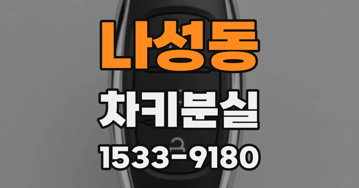 나성동 차키분실