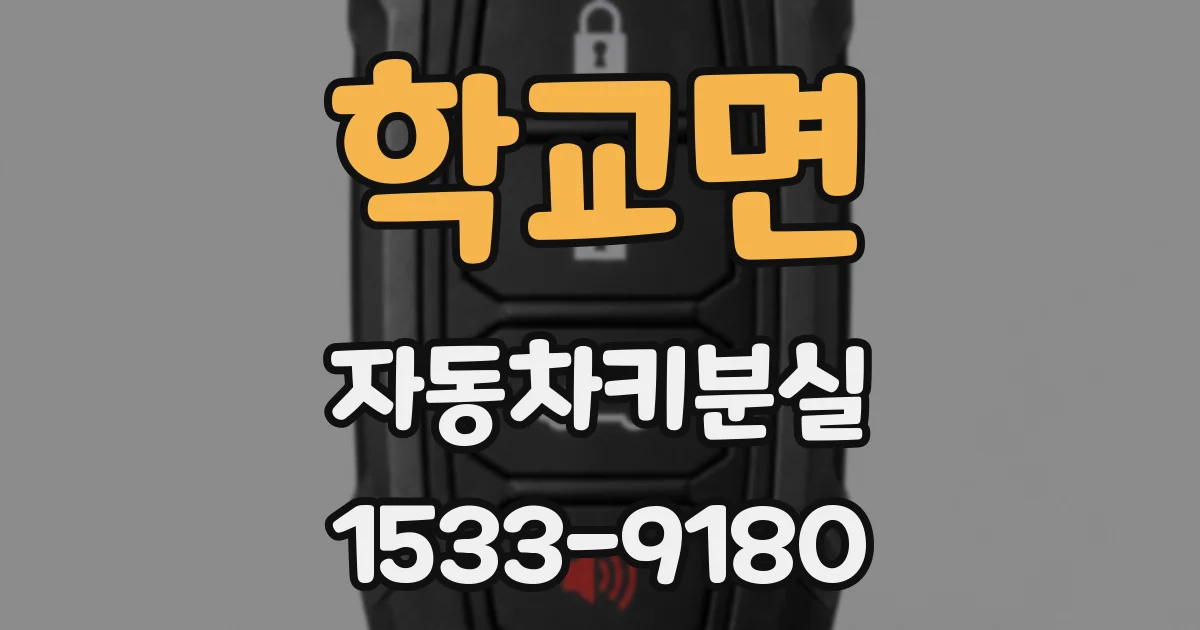 학교면 자동차키분실
