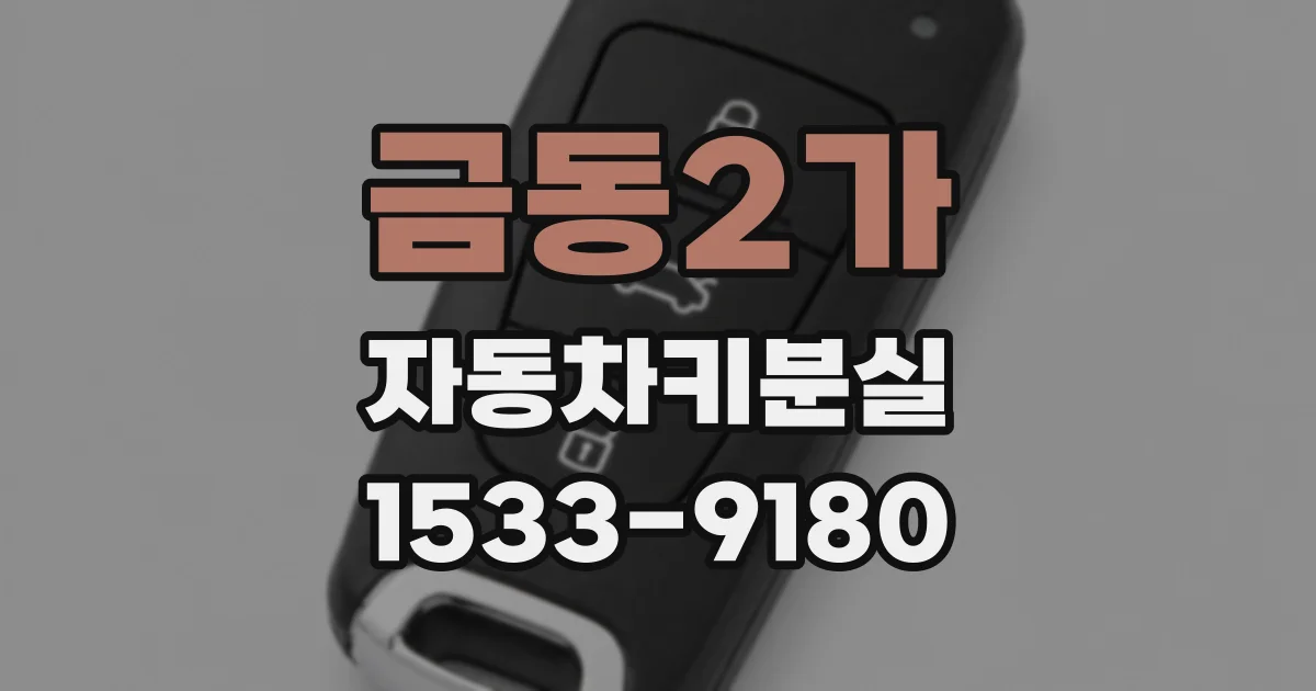 금동2가 자동차키분실
