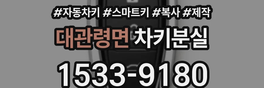 대관령면 차키분실