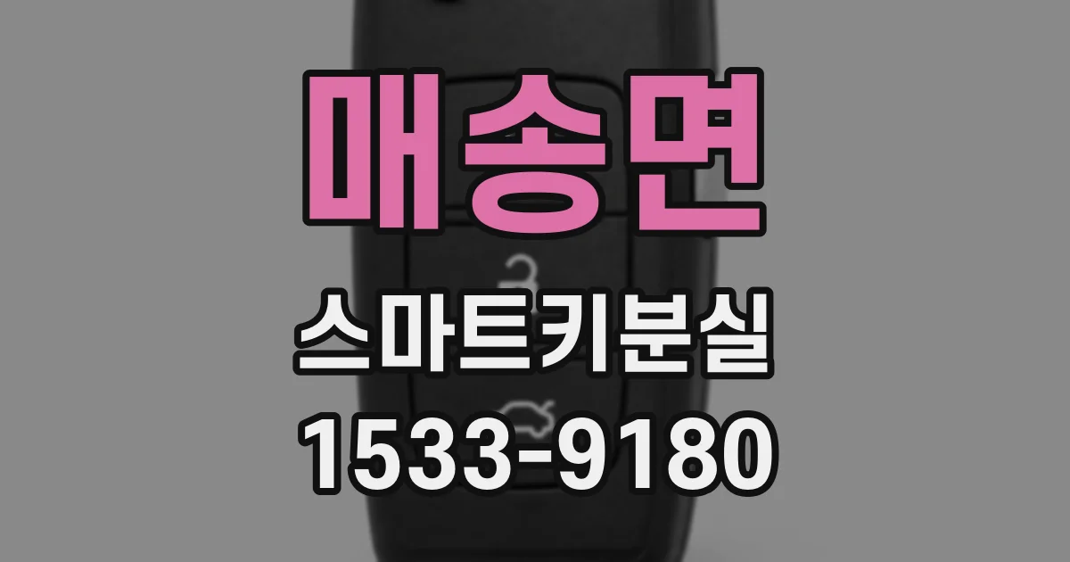 매송면 스마트키분실