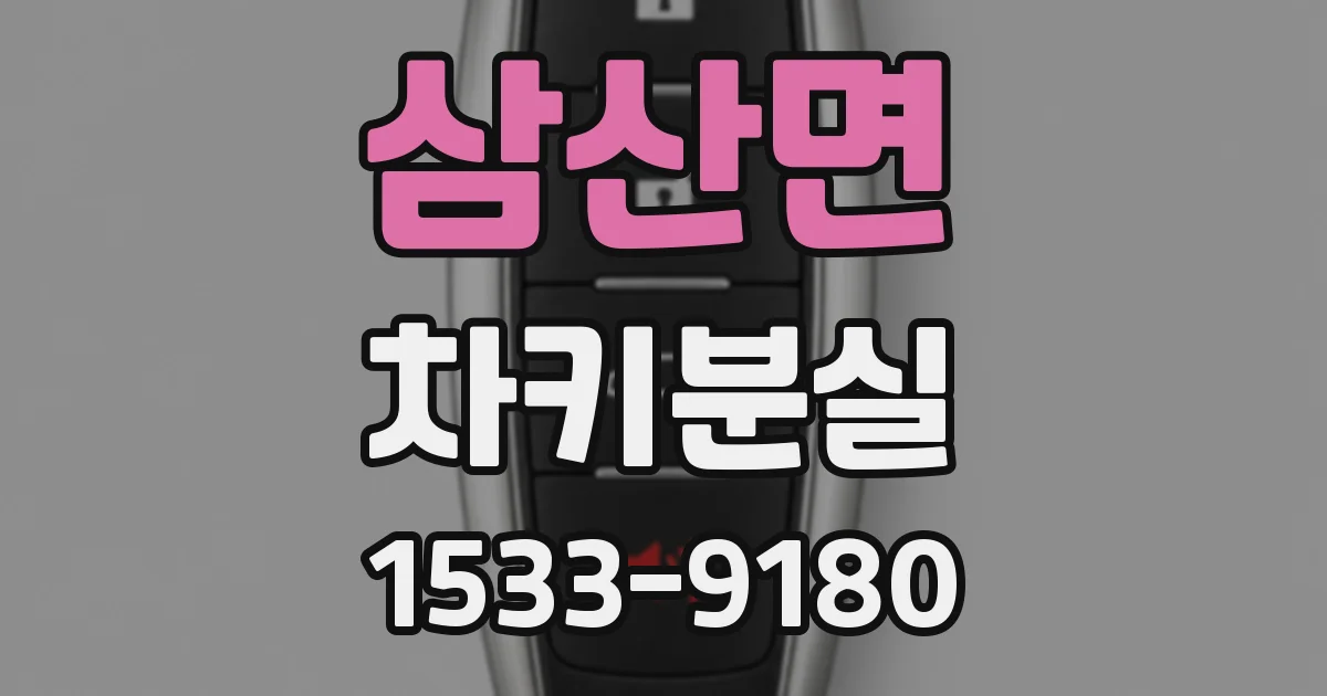 삼산면 차키분실