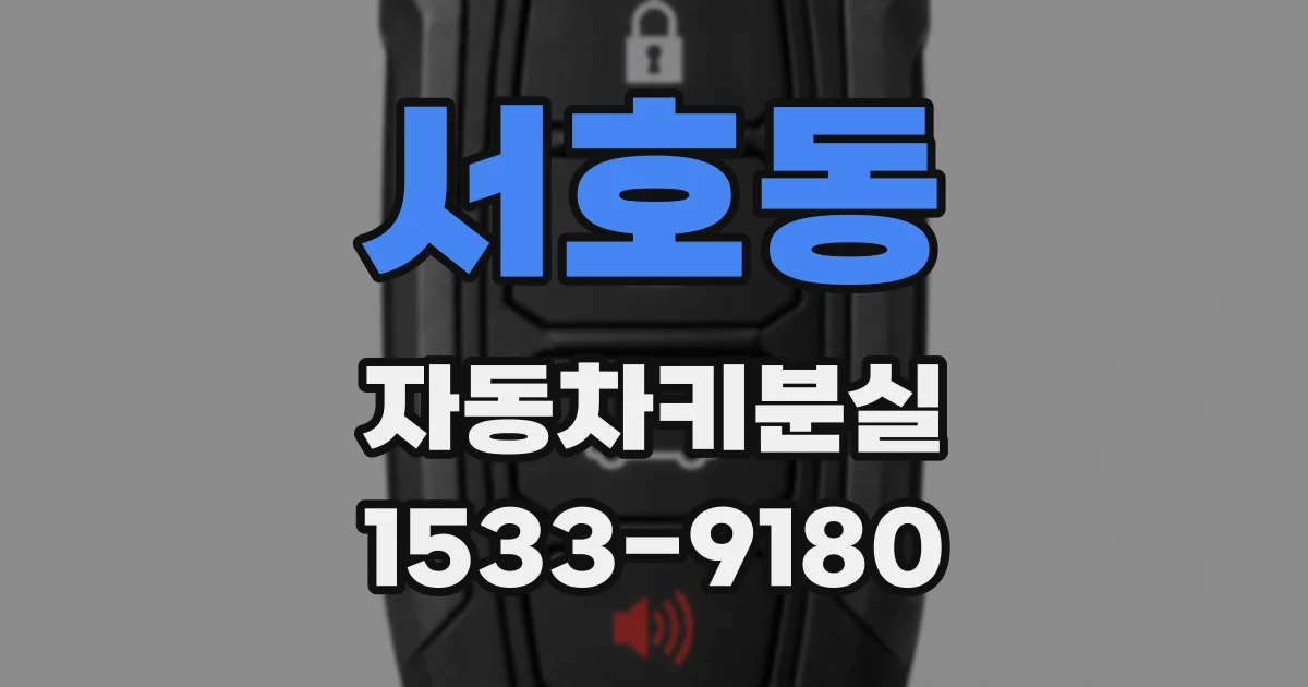 서호동 자동차키분실