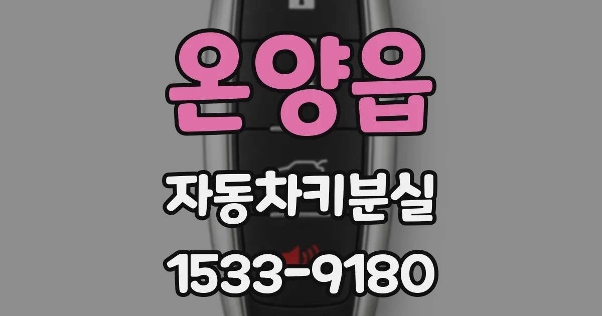 온양읍 자동차키분실