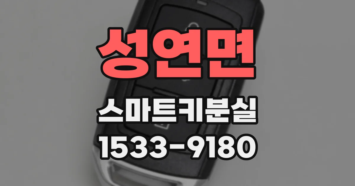 성연면 스마트키분실