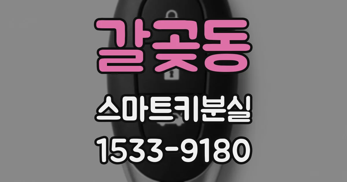 갈곶동 스마트키분실