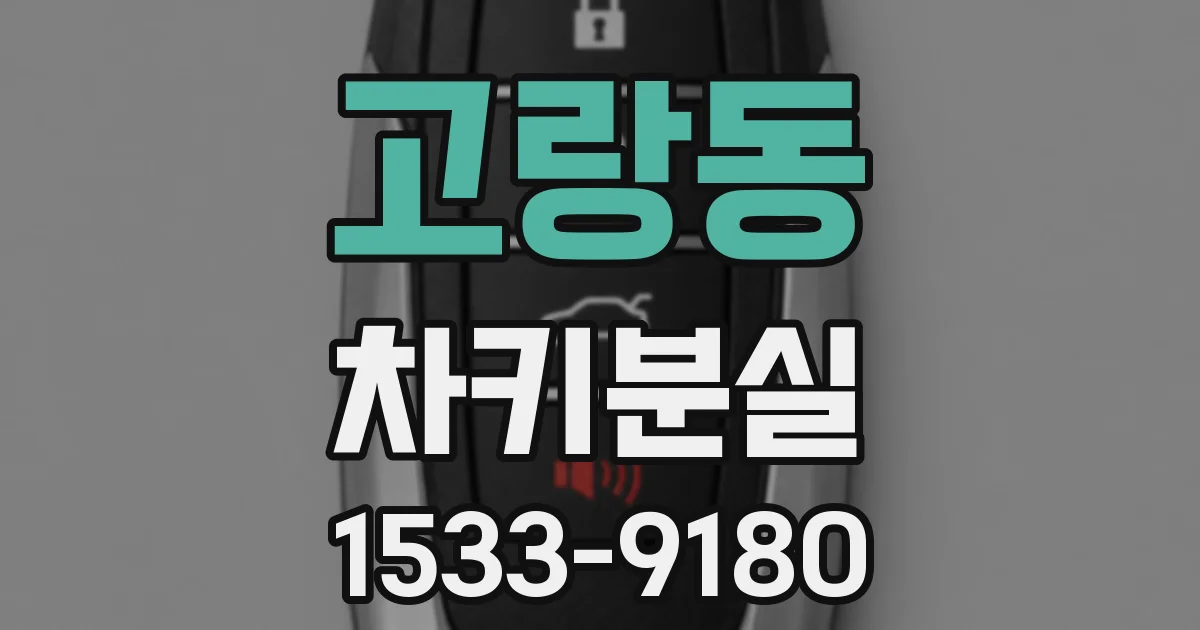 고랑동 차키분실