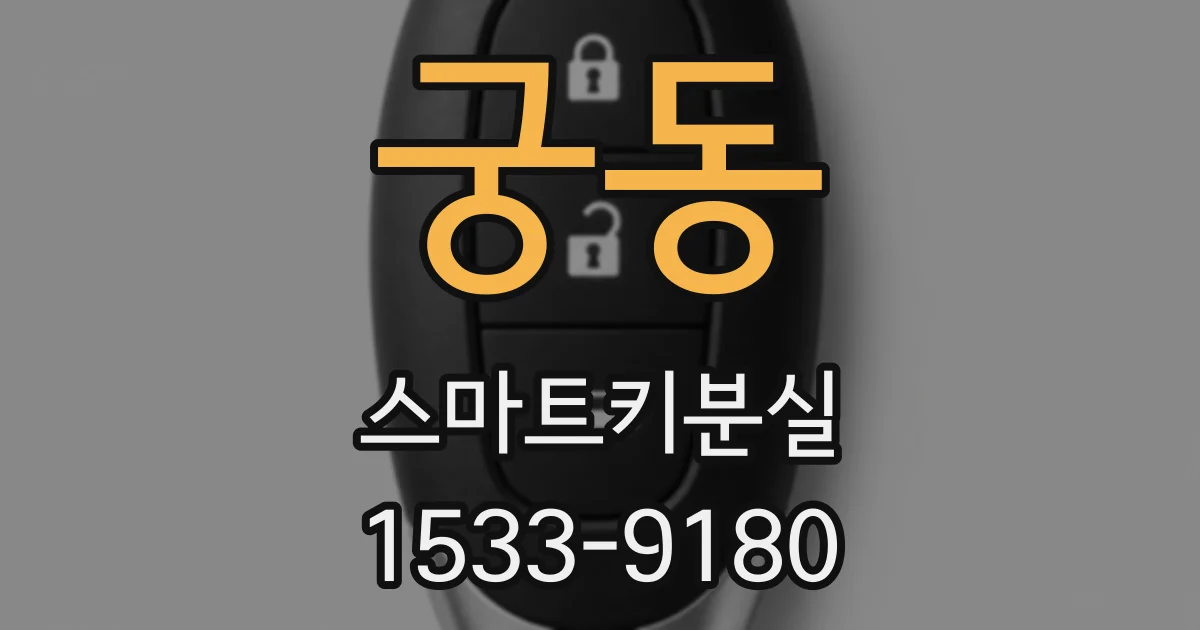 궁동 스마트키분실