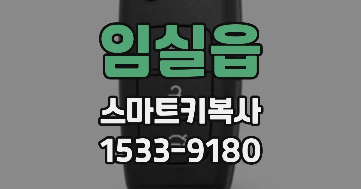 임실읍 스마트키복사