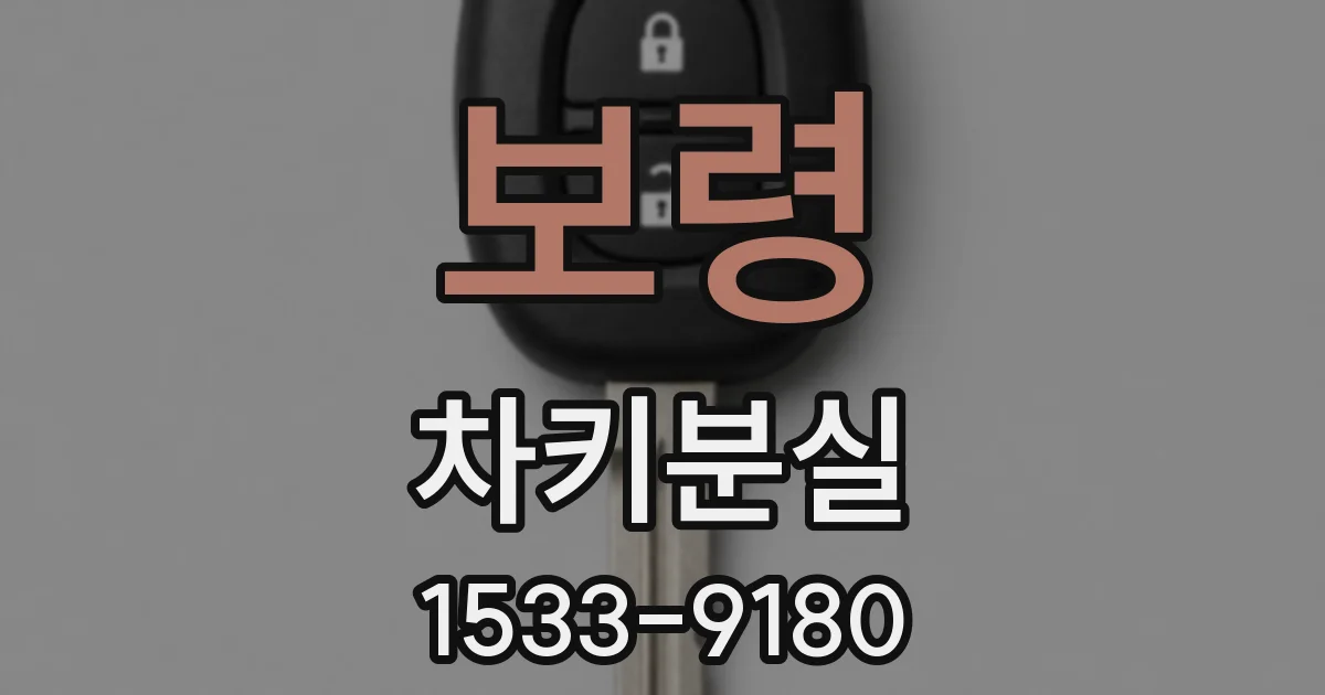 보령 차키분실