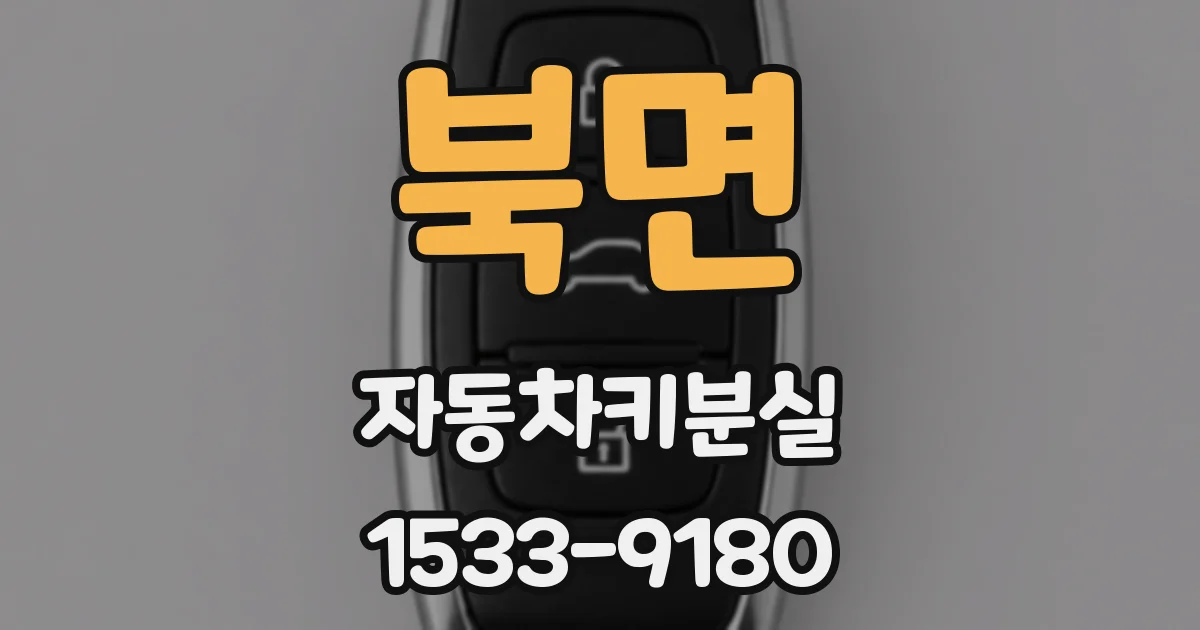 북면 자동차키분실