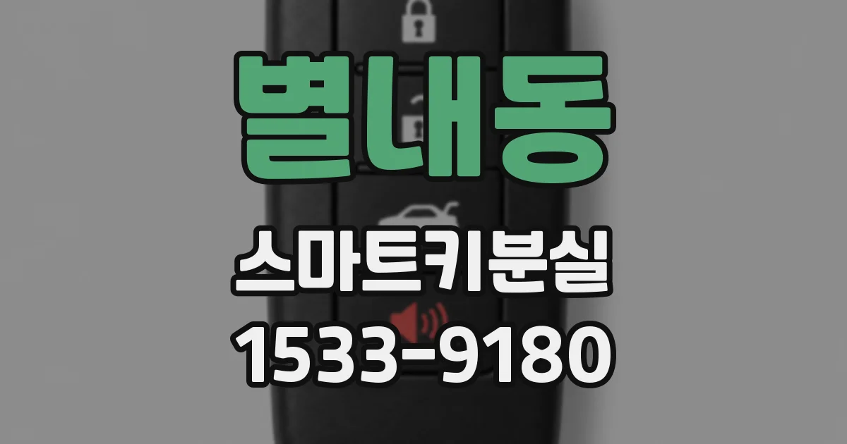 별내동 스마트키분실