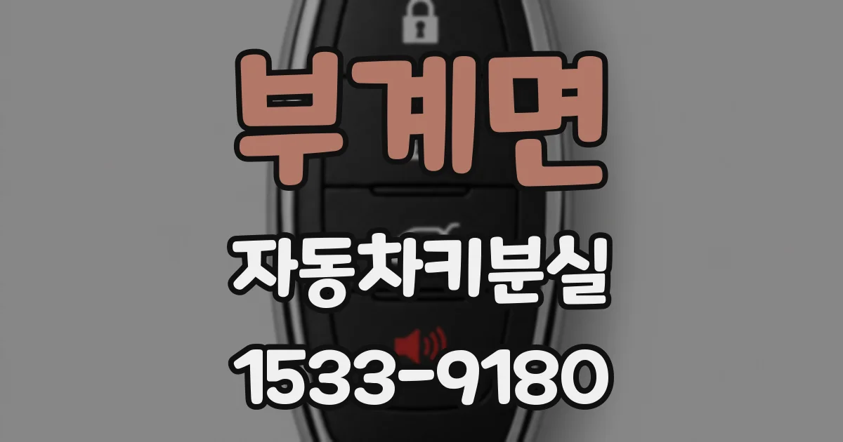 부계면 자동차키분실