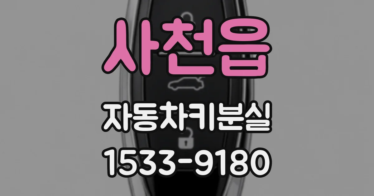 사천읍 자동차키분실
