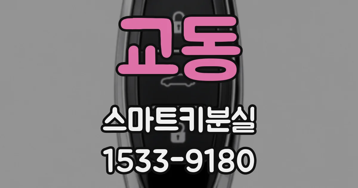 교동 스마트키분실