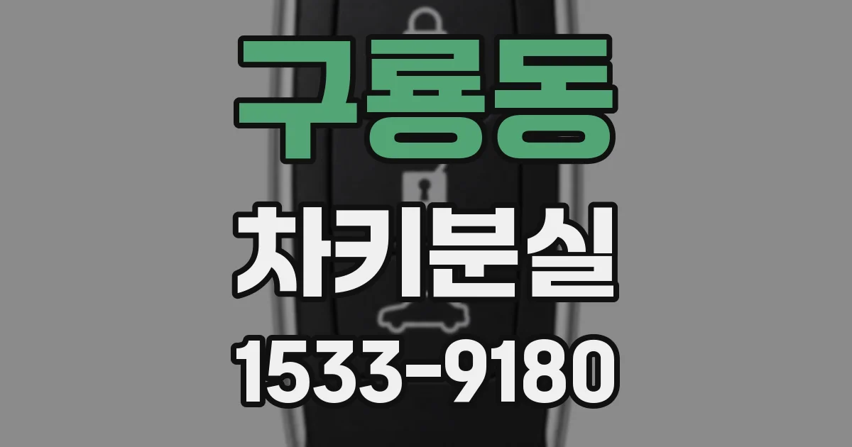 구룡동 차키분실