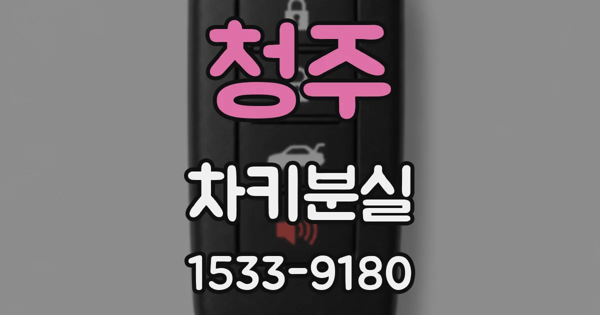 청주 차키분실