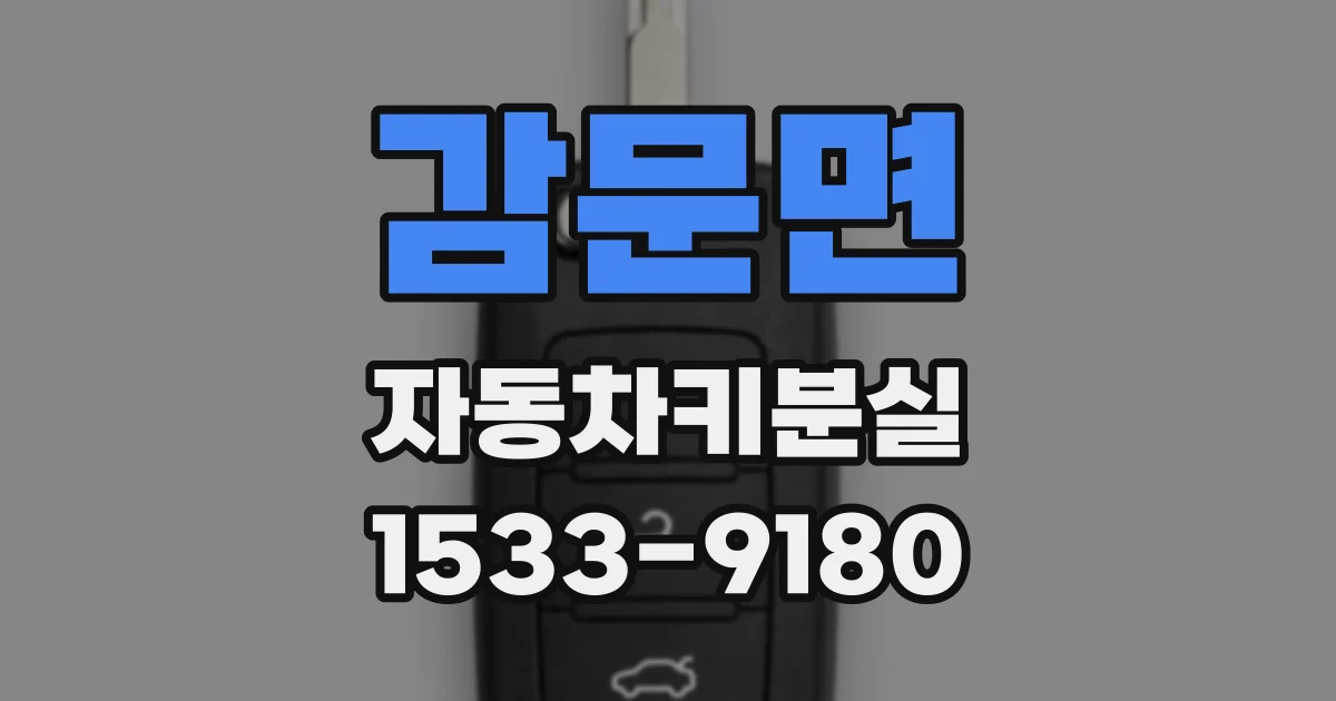 감문면 자동차키분실