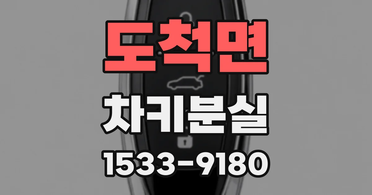 도척면 차키분실