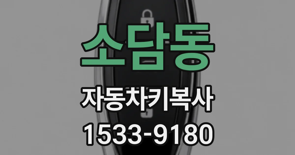 소담동 자동차키복사