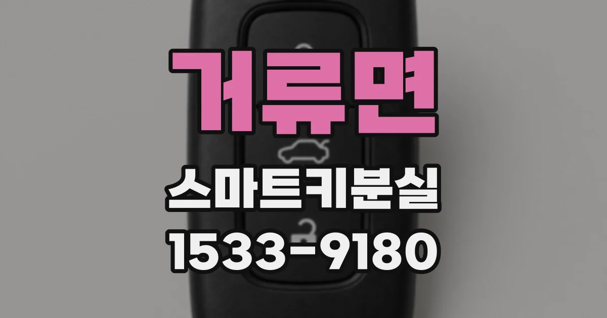거류면 스마트키분실