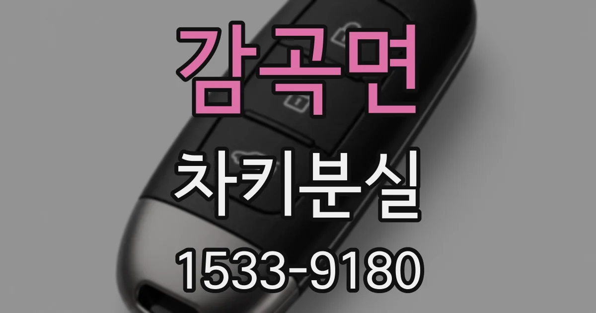 감곡면 차키분실