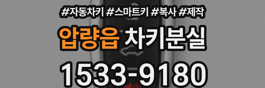 압량읍 차키분실