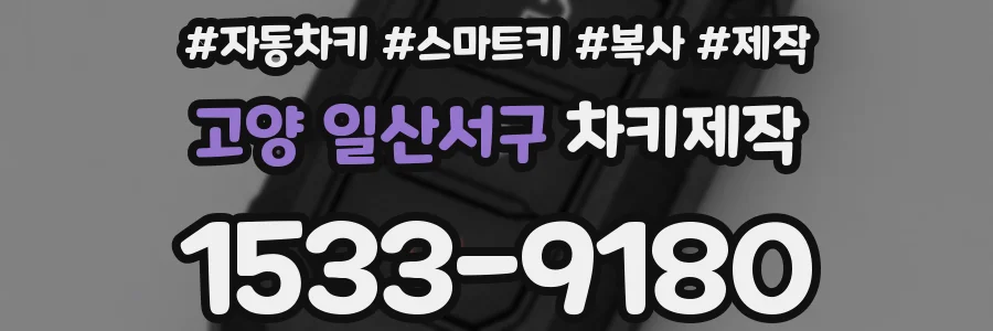 고양 일산서구 차키제작