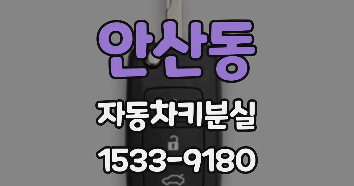 안산동 자동차키분실