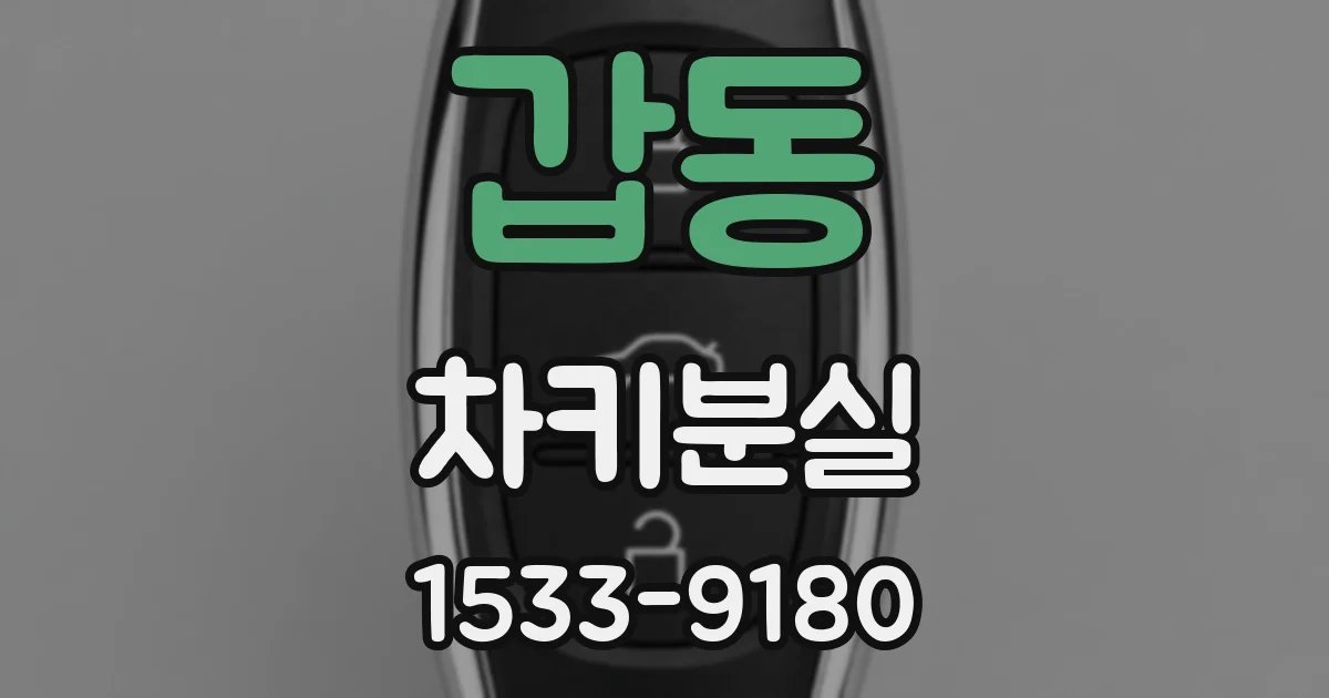 갑동 차키분실