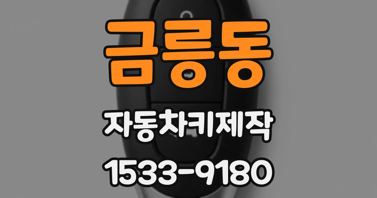 금릉동 자동차키제작