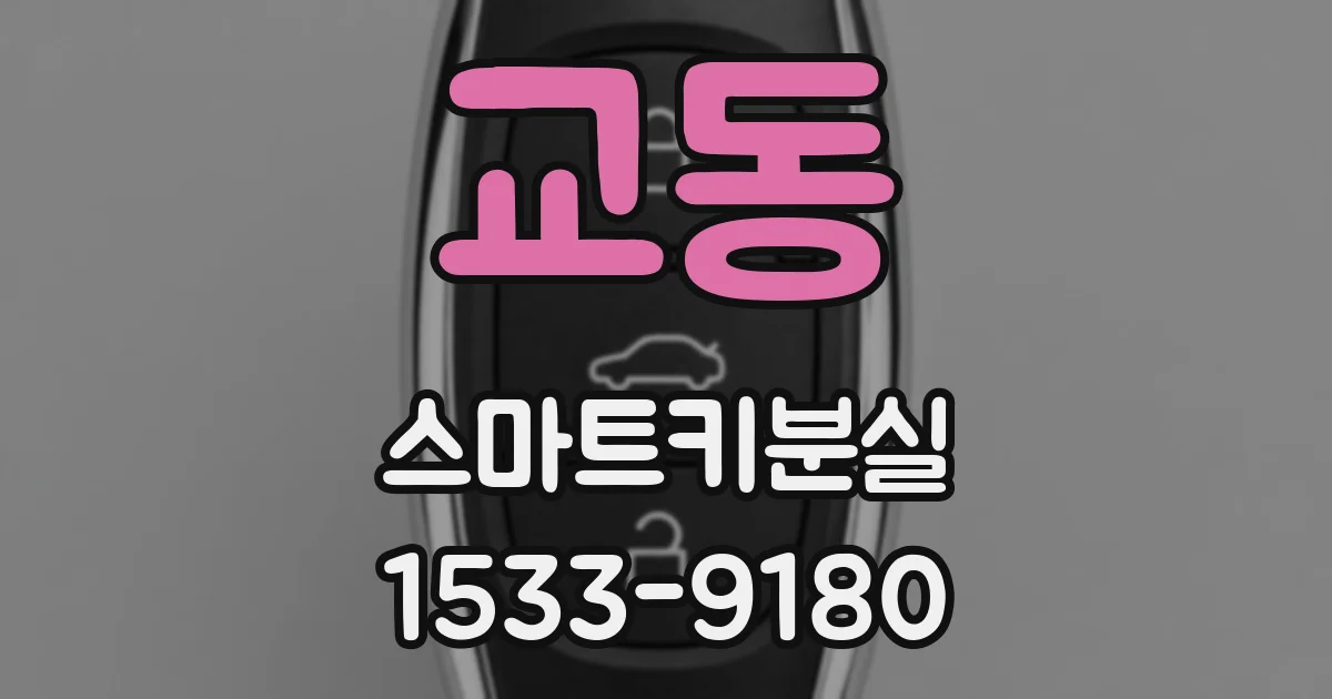 교동 스마트키분실