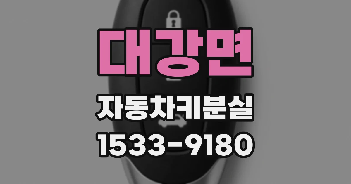 대강면 자동차키분실
