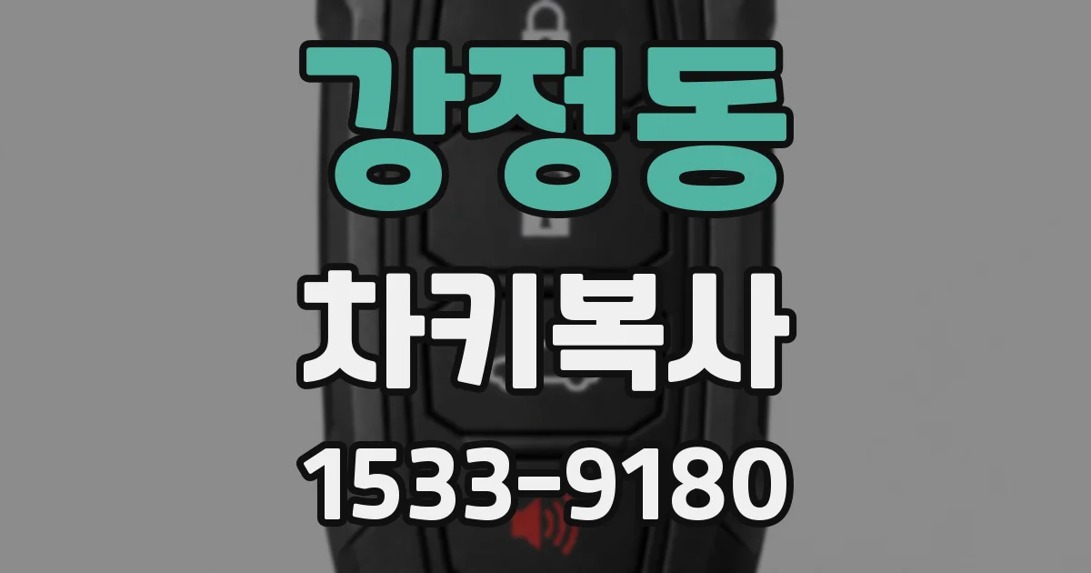강정동 차키복사