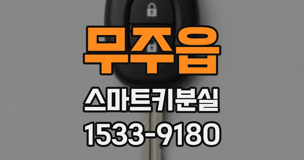 무주읍 스마트키분실