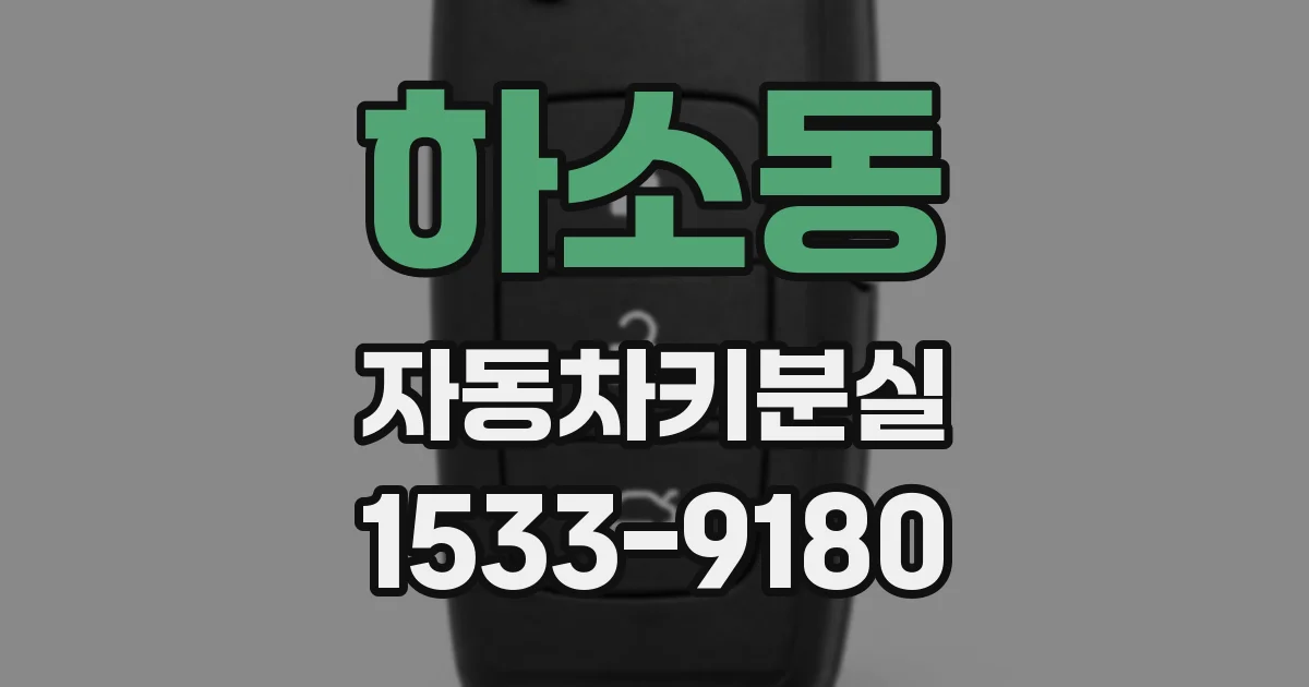 하소동 자동차키분실