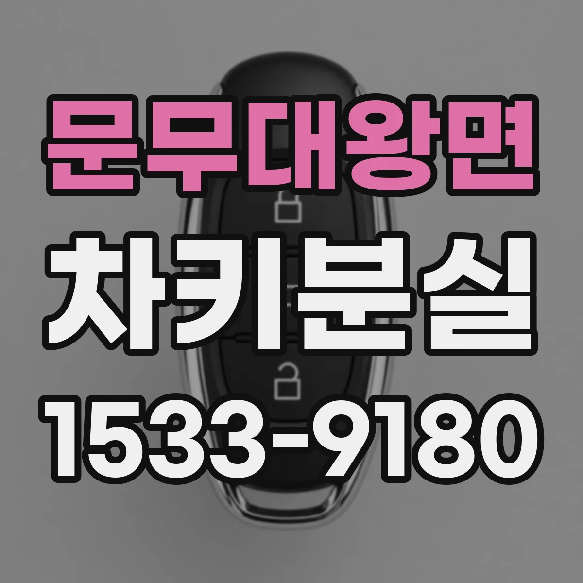 문무대왕면 차키분실
