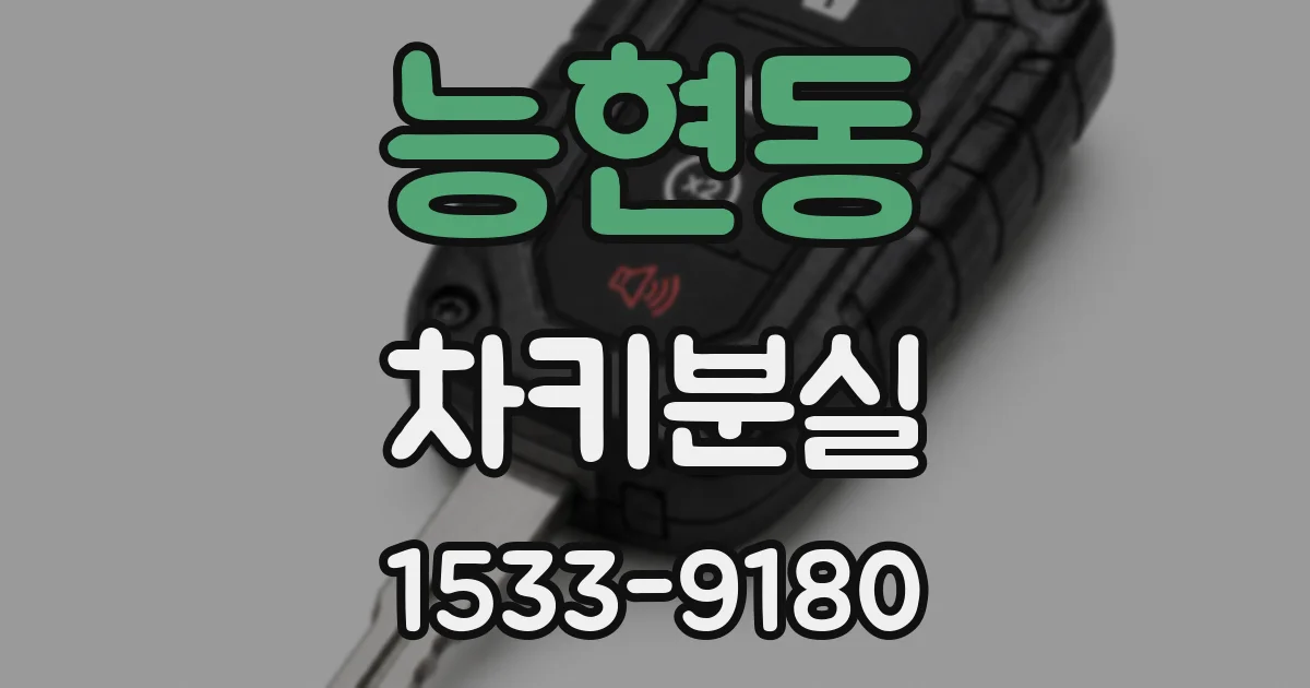 능현동 차키분실