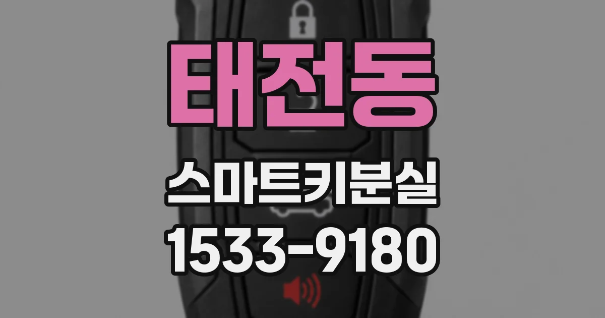 태전동 스마트키분실