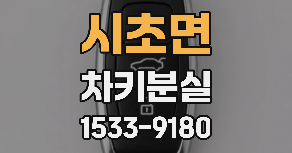 시초면 차키분실