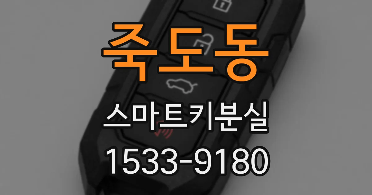 죽도동 스마트키분실