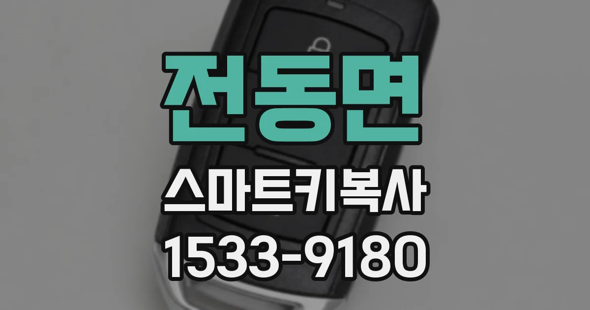 전동면 스마트키복사