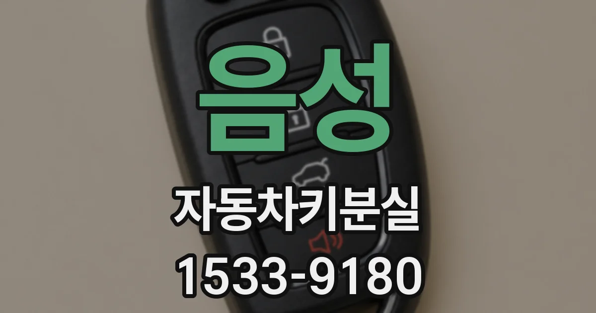 음성 자동차키분실
