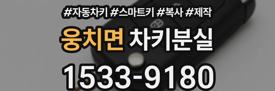 웅치면 차키분실