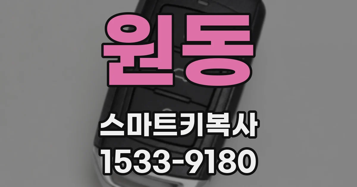 원동 스마트키복사