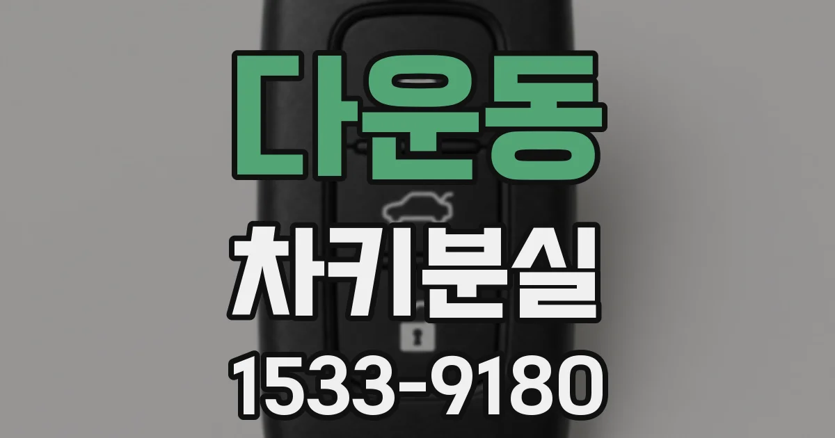 다운동 차키분실