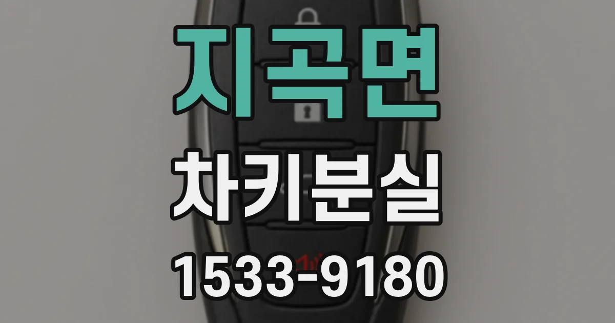 지곡면 차키분실