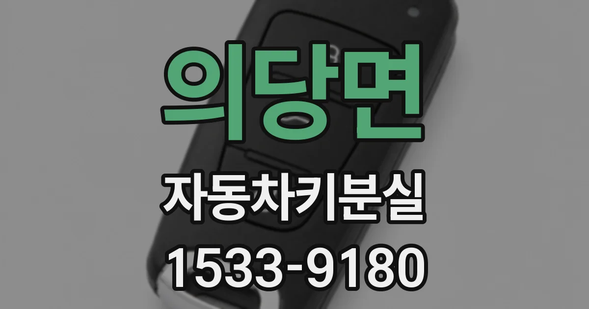 의당면 자동차키분실