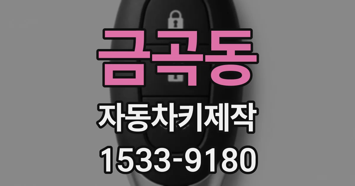 금곡동 자동차키제작