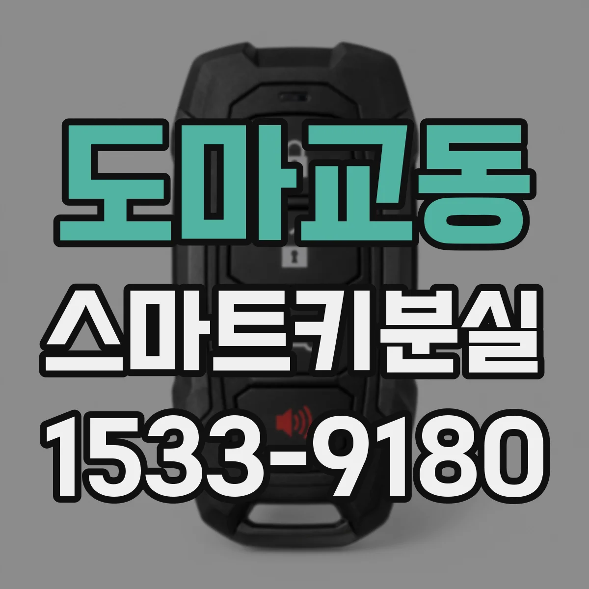 도마교동 스마트키분실